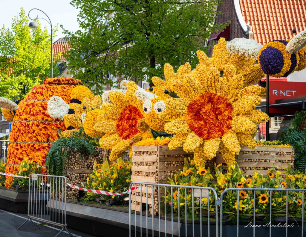 Bloemencorso Bollenstreek