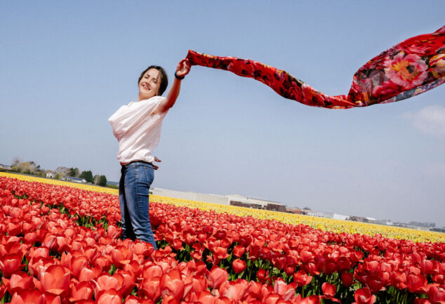 поле квітів, квіткове поле, поля тюльпанів, Нідерланди, Голландія, подивитись у Нідерландах