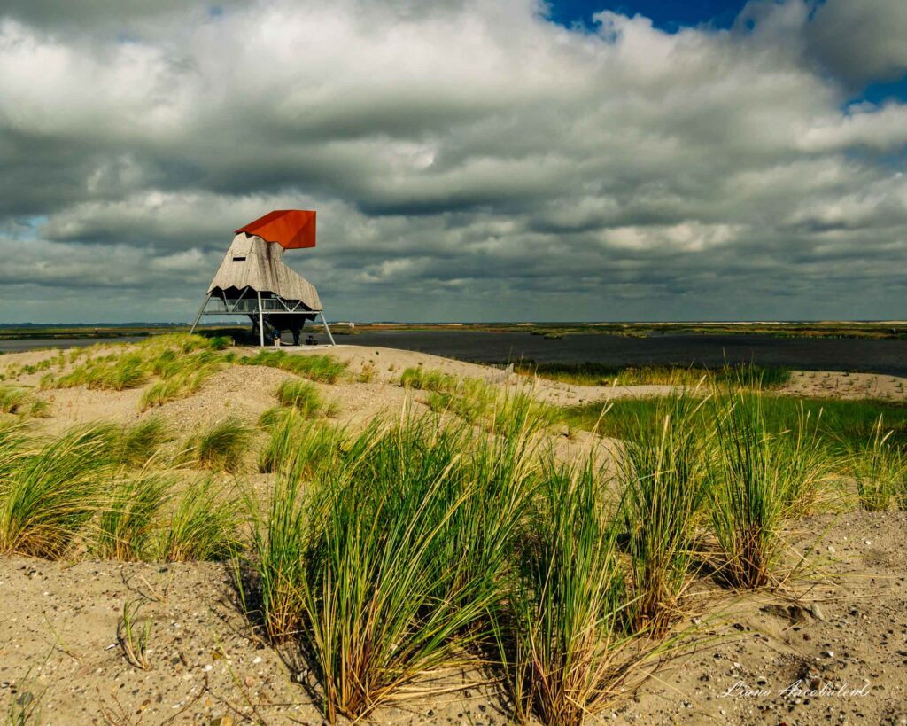 Штучні острови Marker Wadden