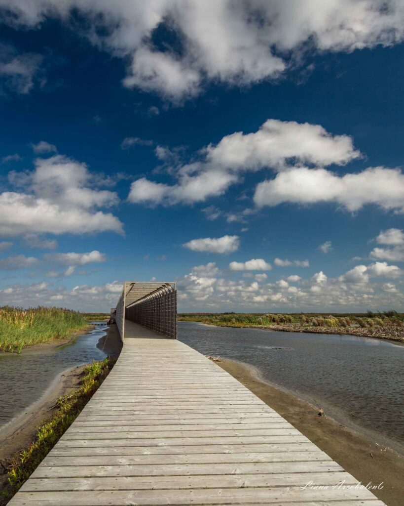 Штучні острови Marker Wadden